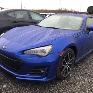 Meet your Posher, Owen